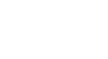 The Fluffy Dragon Co logo in black